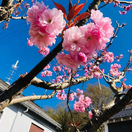 Rabenlay * Oberneisen