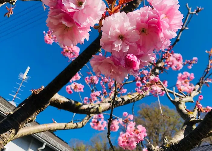 Rabenlay * Oberneisen